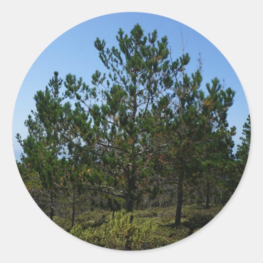 Huckleberry Hill Pebble Beach Stickers (Voorkant)