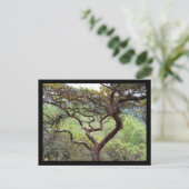 Huckleberry Preserve Briefkaart (Staand voorkant)