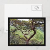 Huckleberry Preserve Briefkaart (Voorkant / Achterkant)