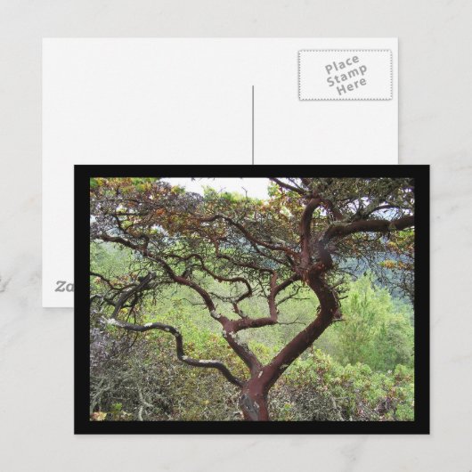 Huckleberry Preserve Briefkaart (Voorkant / Achterkant)