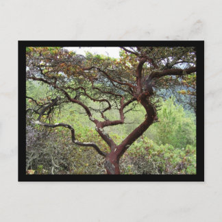 Huckleberry Preserve Briefkaart