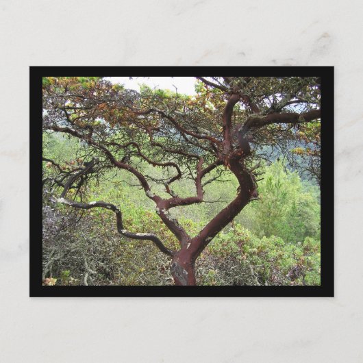 Huckleberry Preserve Briefkaart (Voorkant)