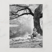 Huckleberry & Tom Briefkaart (Voorkant)