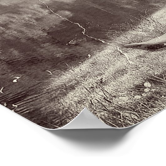 Huckleberry & Tom (Sepia Edition) Poster (Hoek)