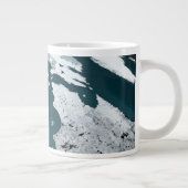 Hudson Bay Zee op 14 november 2005. Grote Koffiekop (Rechts)