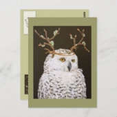 Hudson het briefkaart van de sneeuwuil (Voorkant / Achterkant)