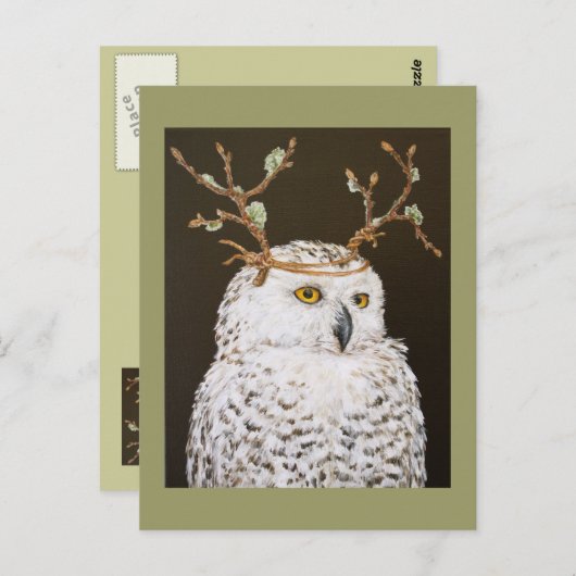 Hudson het briefkaart van de sneeuwuil (Voorkant / Achterkant)
