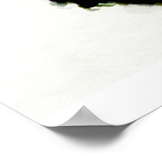 Hudson Hornet 1c Poster (Hoek)