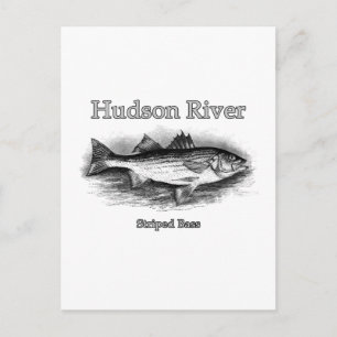 Hudson  Striped Bass Logo Briefkaart