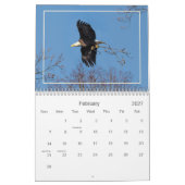 Hudson Valley Bald Eagles Kalender (Feb 2027)