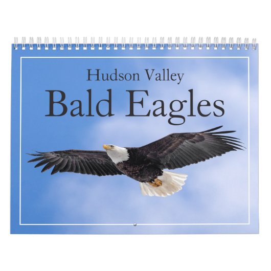 Hudson Valley Bald Eagles Kalender (Hoes)