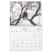 Hudson Valley Bald Eagles Kalender (Jan 2027)