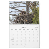 Hudson Valley Bald Eagles Kalender (Mar 2027)