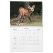 Hudson Valley Wildlife Calendar Kalender (Mar 2026)