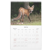 Hudson Valley Wildlife Calendar Kalender (Mar 2027)