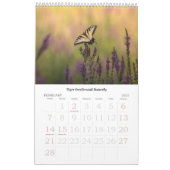 Hudson Valley Wildlife Calendar Kalender (Feb 2027)