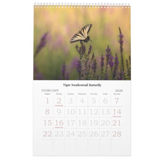 Hudson Valley Wildlife Calendar Kalender (Feb 2026)