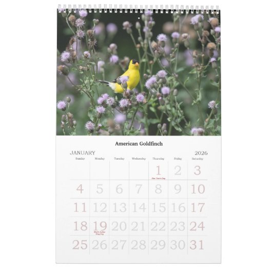 Hudson Valley Wildlife Calendar Kalender (Jan 2026)