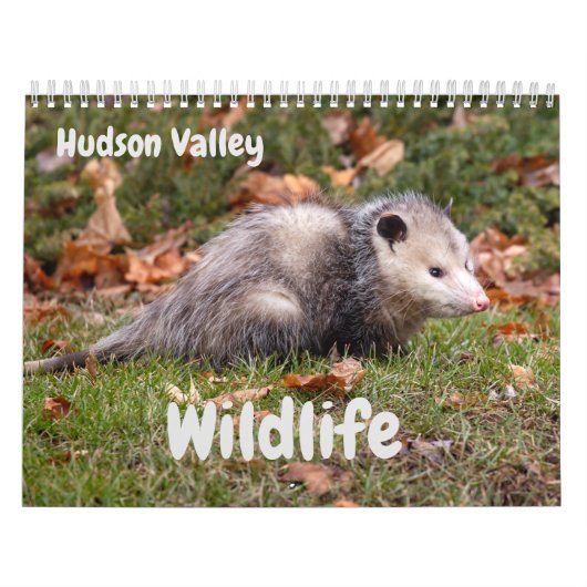 Hudson Valley Wildlife Kalender (Hoes)