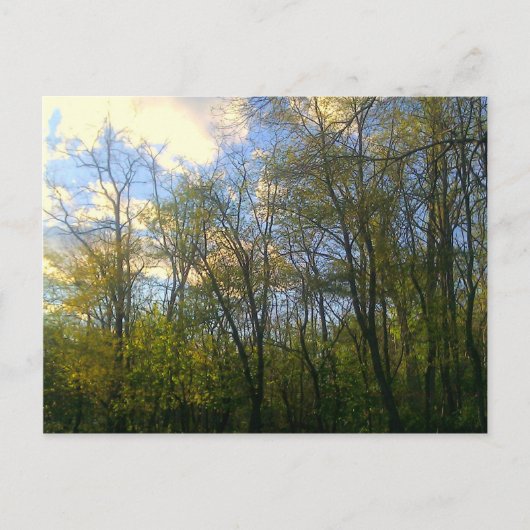 Hudson Vally, NY Briefkaart (Voorkant)