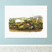 Hudson's Bay (Ungava Collared) Lemming van Audubon Canvas Afdruk (Insitu (Houten vloer))