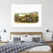 Hudson's Bay (Ungava Collared) Lemming van Audubon Canvas Afdruk (Insitu (Slaapkamer))