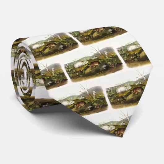 Hudson's Bay (Ungava Collared) Lemming van Audubon Stropdas (Opgerold)