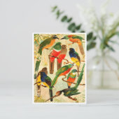 Hudú, Surucuás, Arirámbas uit het maagdenwoud Briefkaart (Staand voorkant)