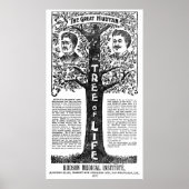 Hudyan Remedio Therapy - 1897 Poster (Voorkant)