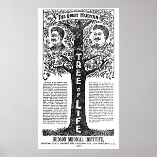 Hudyan Remedio Therapy - 1897 Poster