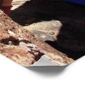 Hueco Tanks Texas 2007 Poster (Hoek)