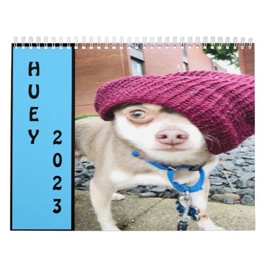Huey 2023 Wall Kalender (Hoes)