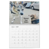 Huey 2023 Wall Kalender (Mar 2027)