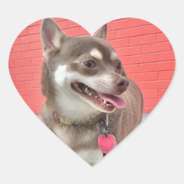 Huey heeft m'n hartkleppen. hart sticker