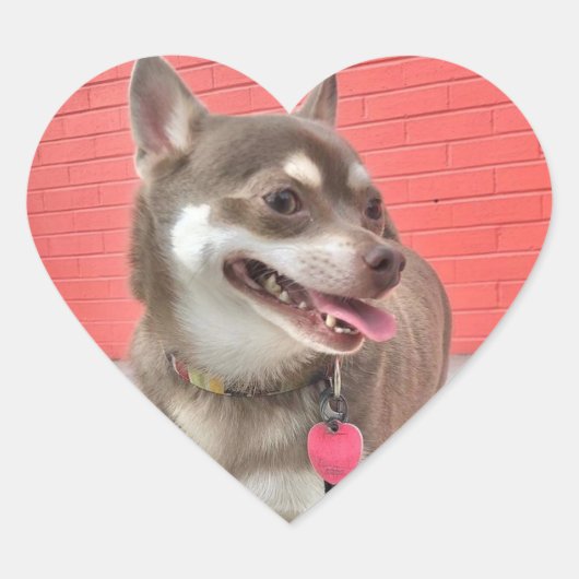 Huey heeft m'n hartkleppen. hart sticker (Voorkant)