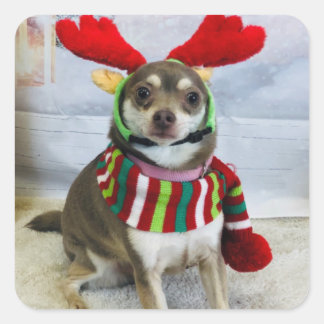 Huey Holiday Fail Vierkante Sticker