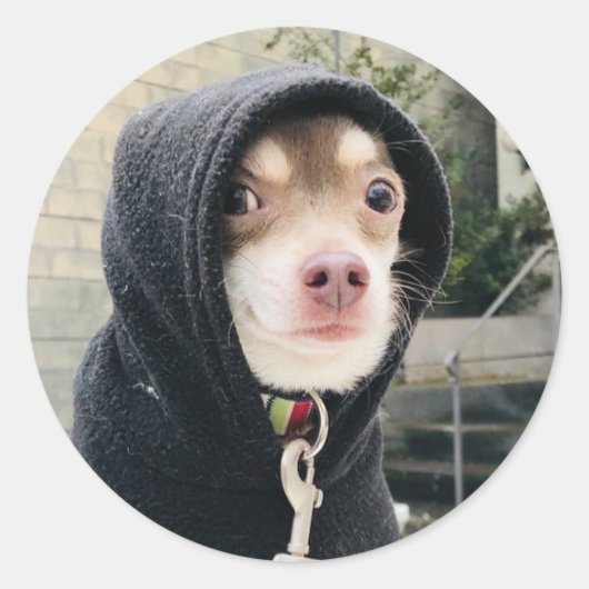 Huey in Disguise Stickers! Ronde Sticker (Voorkant)