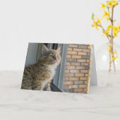 Huey kijkt uit naar de wereld kaart (Gele Bloem)