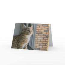 Huey kijkt uit naar de wereld