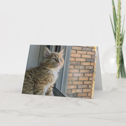 Huey kijkt uit naar de wereld kaart (Voorkant)