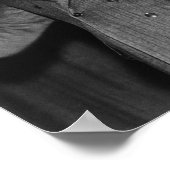 Huey P. Long - The Kingfish Poster (Hoek)