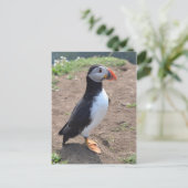 'Huffin' Puffin' van Mike Paget Briefkaart (Staand voorkant)