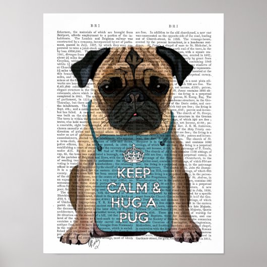 Hug a Pug Poster (Voorkant)