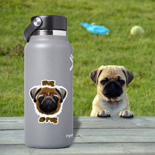 Hug A Pug Sticker