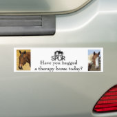 Hug a Therapy Horse Bumpersticker (Op auto)