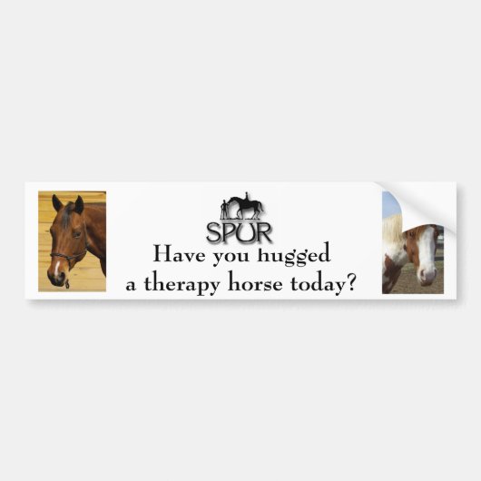 Hug a Therapy Horse Bumpersticker (Voorkant)
