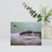 HUG BRIEFKAART (Staand voorkant)