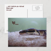 HUG BRIEFKAART (Voorkant / Achterkant)