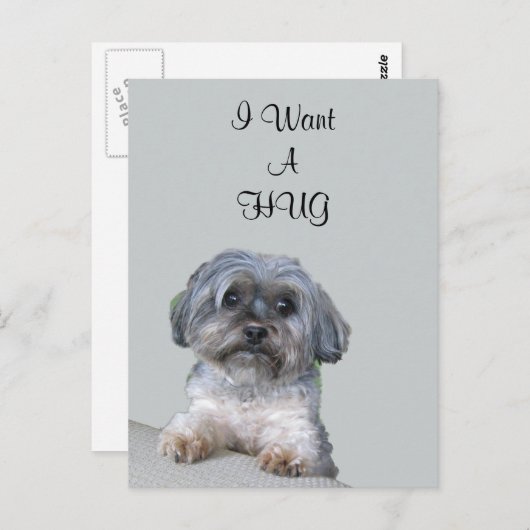 Hug Dog Briefkaart (Voorkant / Achterkant)