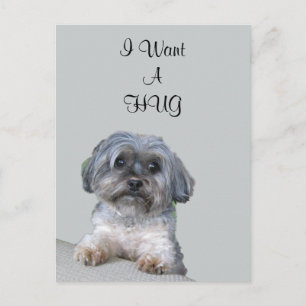 Hug Dog Briefkaart